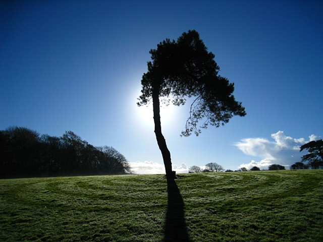 Dartmoor