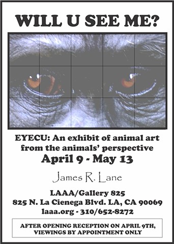 Solo Show at Gallery 825 - April 9 - May 13