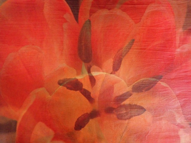 Tulip Composite 2