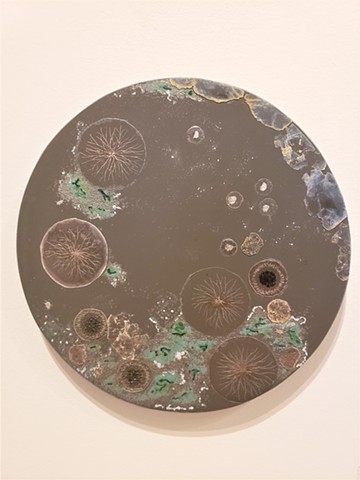 Mold War I