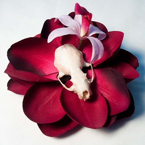 skull flower 6
