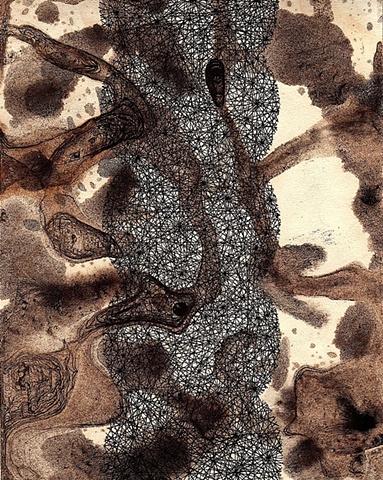 Untitled (cactus drawing)