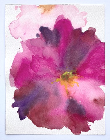 Peony 4