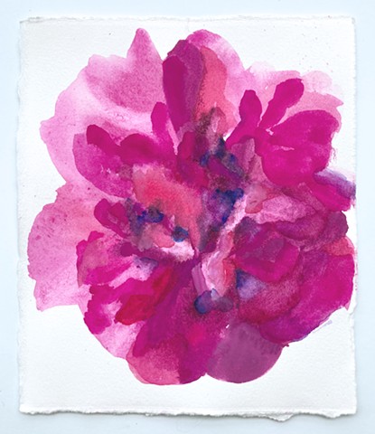 Peony 2