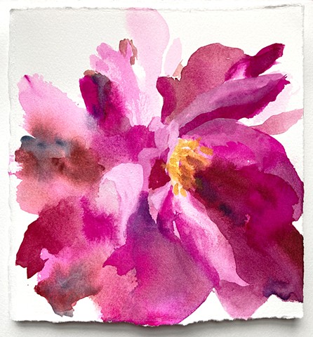 Peony 3