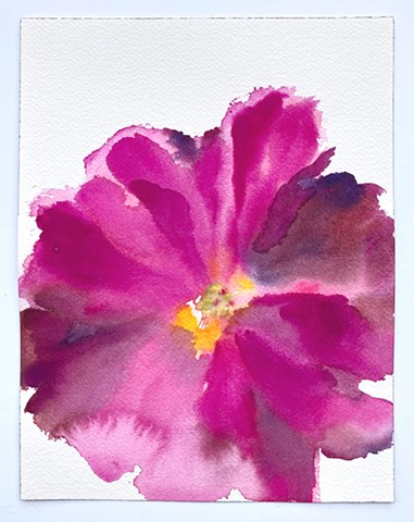 Peony 5