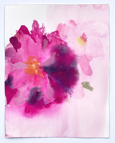 Peony 6