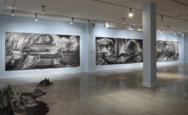 Installation view of Scorched Earth at Maier Museum of Art at Randolph College, Lynchburg VA January 31 - April 11th 2020