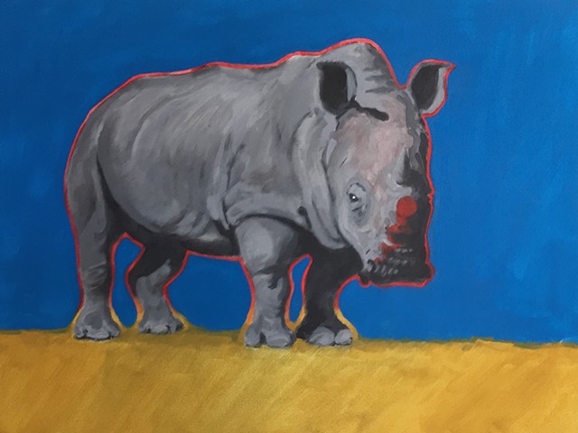 Dehorned Rhino