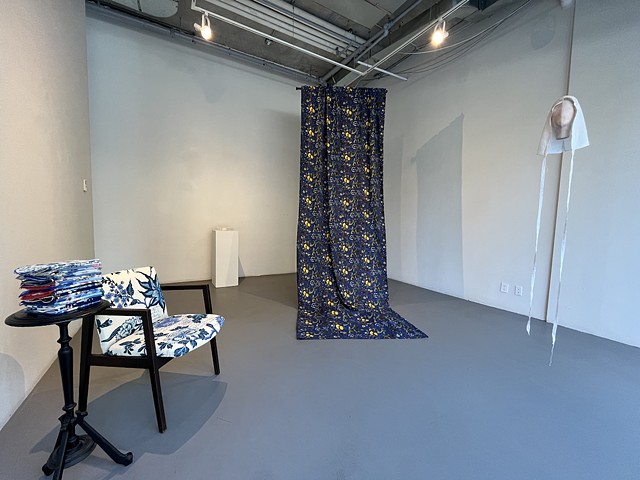 Sour Curtain Solo Exhibition, L'Space Gallery, Chelsea New York