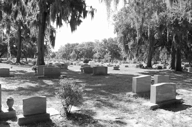 Bonaventure Cemetery #13- B&W