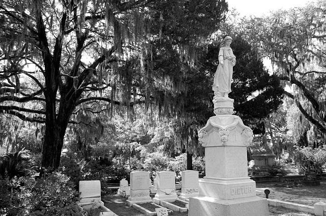 Bonaventure Cemetery #9- B&W