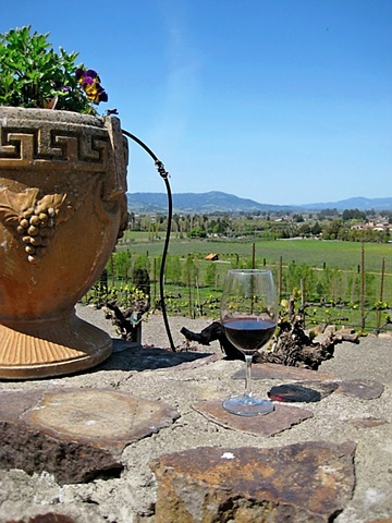 Viansa Winery 1