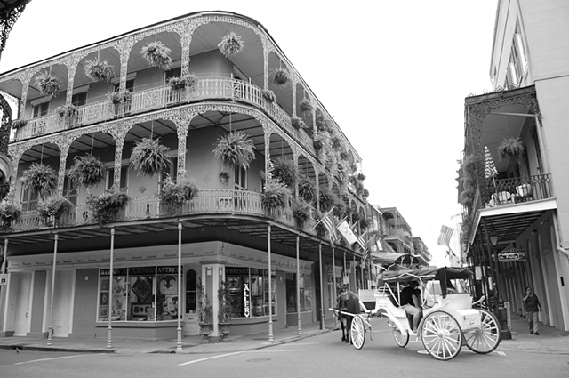 bw carriage ride
