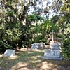 Bonaventure Cemetery #12