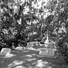 Bonaventure Cemetery #12- B&W