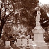 Bonaventure Cemetery #9- Sepia