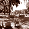 Bonaventure Cemetery #13- Sepia