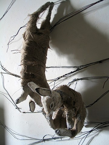 Hanging Hares 5/15/13