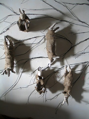 Hanging Hares 5/15/13