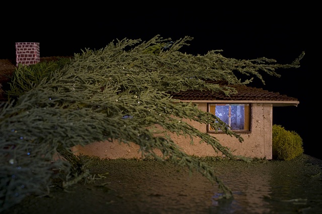 Tree on Roof, Major Damage, 1986