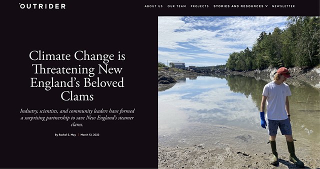 Climate Change is Threatening New England's Beloved Clams