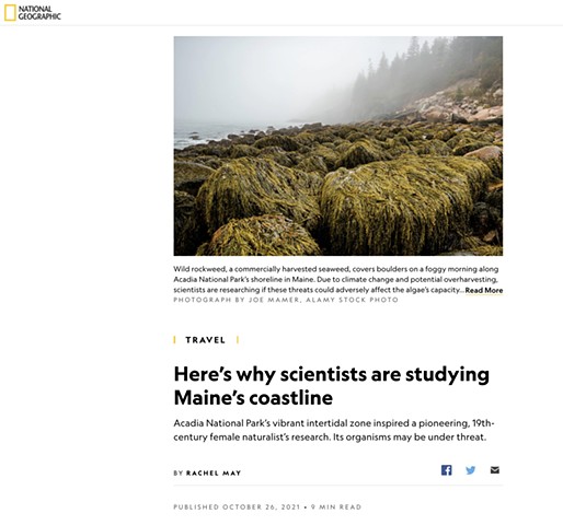Here's why scientists are studying Maine's coast