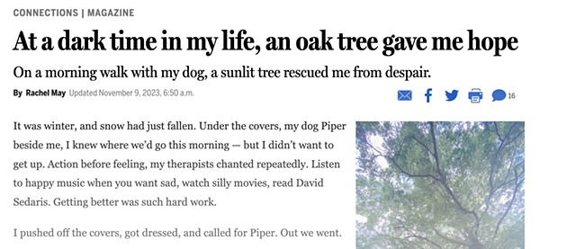 At a Dark Time in My Life, an Oak Tree Gave Me Hope
