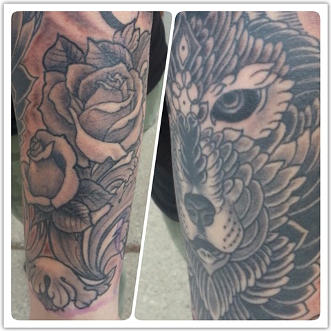 Closeups of roses and wolf