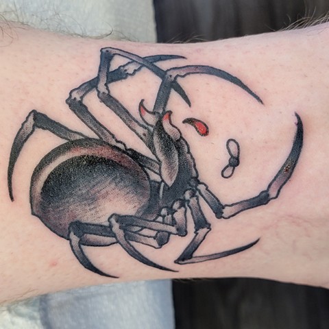 Traditional tattoo of a spider, coloured dark with some rich red blood drips, done by Jason Dopko at Good Times Tattoos in Saskatoon 