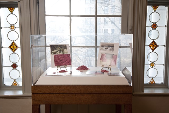 Process documenting eraser carving
