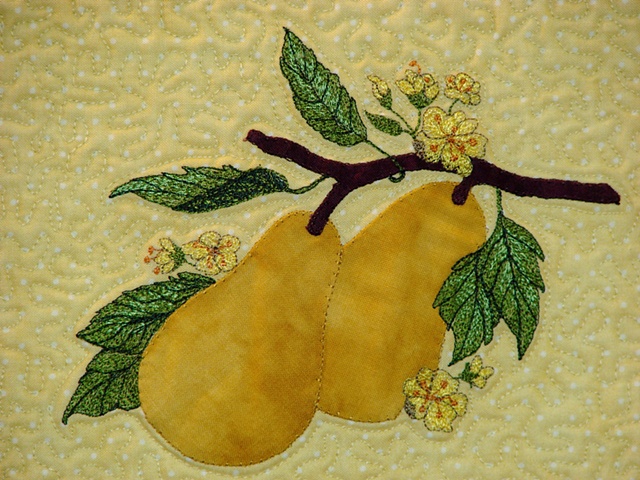 Pears Closeup