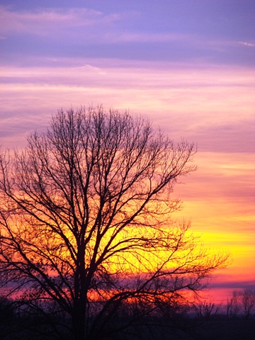 Everything is going to be ok........