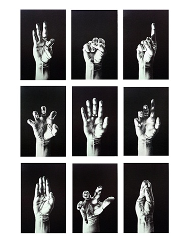 Hand Series