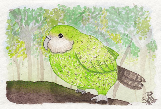 Watercolour painting of Rangi, a kākāpō in the forest. He is a chubby flightless bird with bright green plumage and a short beak.