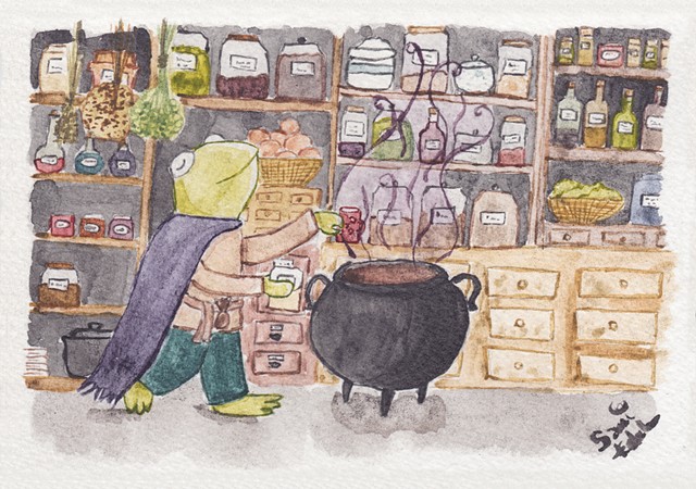 A watercolour painting of Terry the forg mage in his pantry. He is a frog in adventurer's clothes, sprinkling something into a cauldron. Behind him are shelves of curious bottles and jars, and herbs hanging to dry.