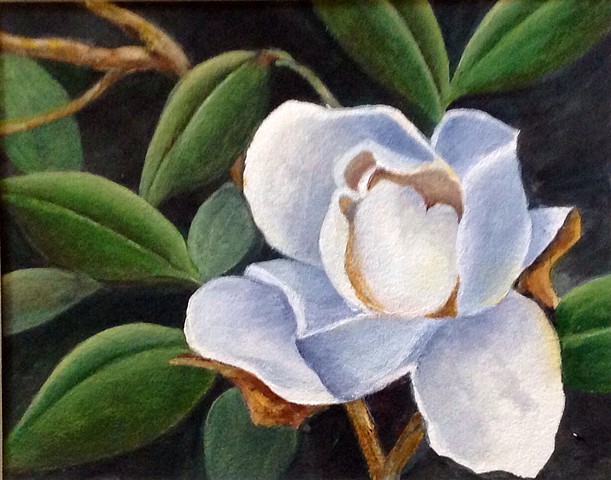 Original floral acrylic on paper magnolia blossom