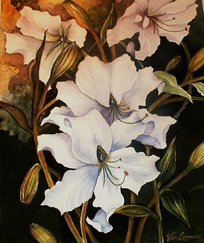 White Lilies