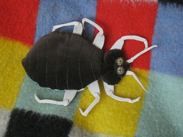 stuffed bedbug 