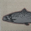 salmon pouch