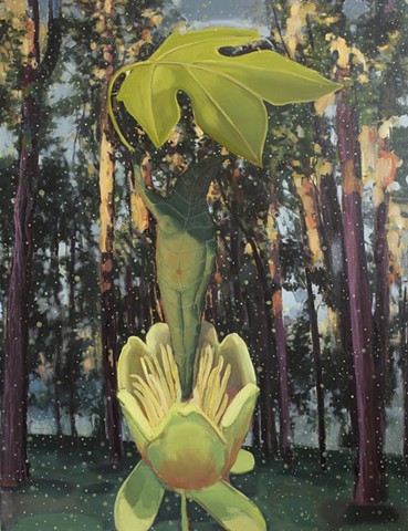 "June Leaf and Tulip Poplar Pollen"