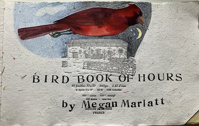 Bird Book of Hours, 2018 - 2024