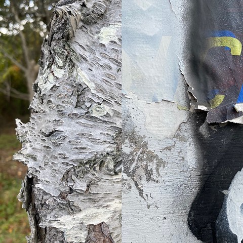 Barnes Landing Tree / Park Slope Wall