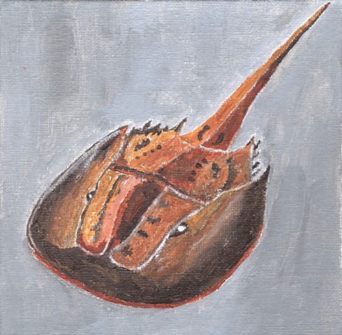 Acrylic painting of a horseshoe crab by Christopher Stanton 