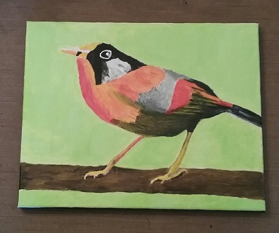 Acrylic painting of a Silver Eared Mesia bird by Christopher Stanton