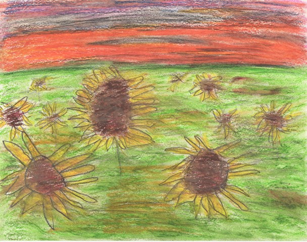 Drawing of a field of sunflowers by Christopher Stanton 