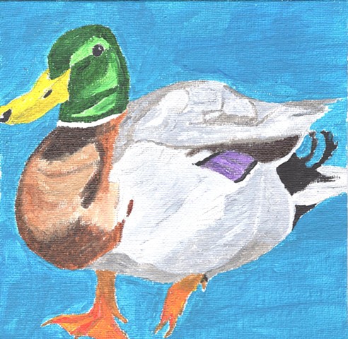 Acrylic painting of a mallard duck by Christopher Stanton 