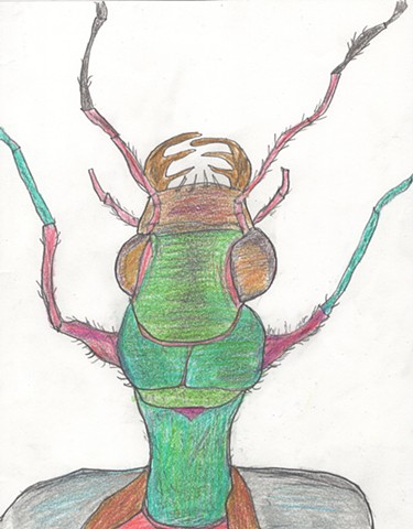 Illustration drawing of a beetleman by Christopher Stanton