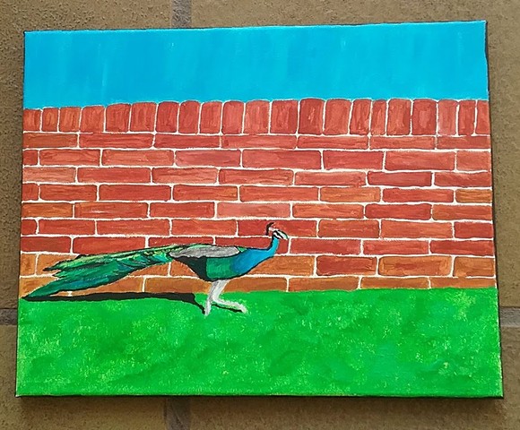 Acrylic painting of Tivoli the Peacock by Christopher Stanton