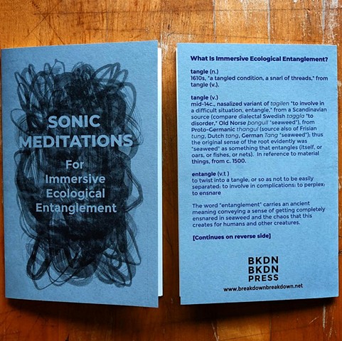 Sonic Meditations for Immersive Ecological Entanglement